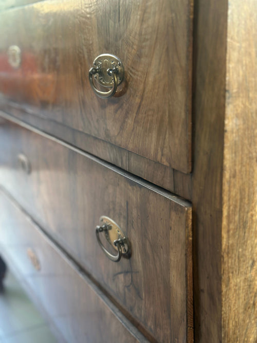 Cassettiera piemontese fine XVIII – inizi XIX secolo